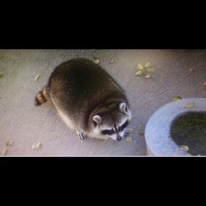 Meet your Posher, Jorge